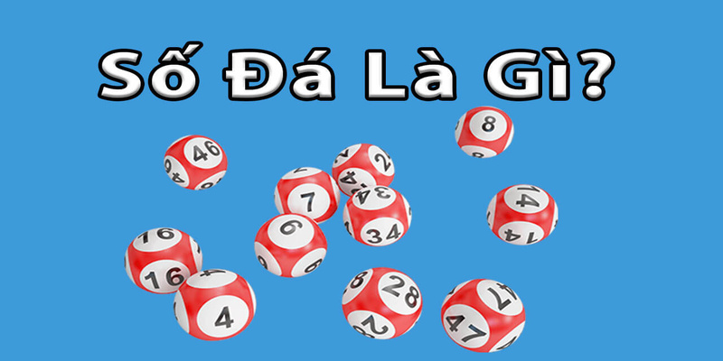Khái niệm về số đá