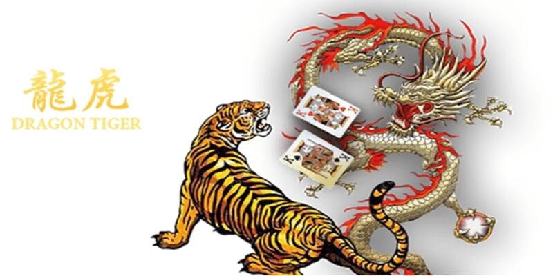 Tổng quan về game Rồng Hổ